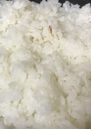 土鍋で炊飯　美味しいごはん　基本の料理-レシピのメイン写真