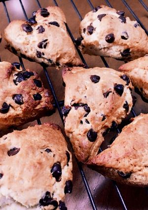 チョコスコーン-レシピのメイン写真