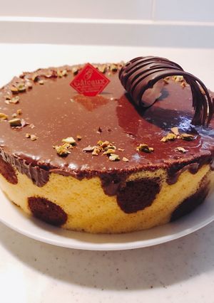 チョコフロマージュケーキ-レシピのメイン写真