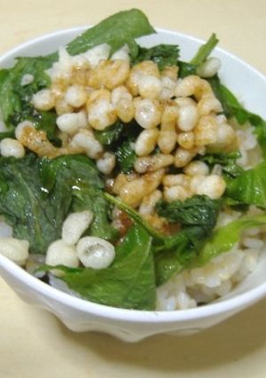 青じそのせ玄米ごはん ♪お手軽ごはん-レシピのメイン写真