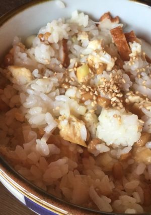 たっぷりネギの納豆卵丼（さつま揚げ入り）-レシピのメイン写真