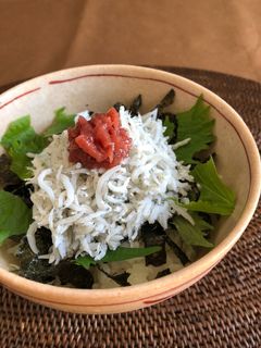 あっさり!栄養満点のしらす丼-レシピのメイン写真