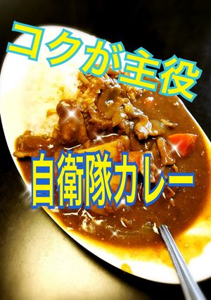 自衛隊カレー(海自)市販ルーで激旨カレー-レシピのメイン写真