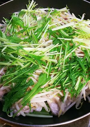 超簡単節約もやし豚肉水菜の重ね蒸し-レシピのメイン写真