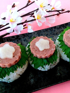 お花見にぴったり!ミートローフの手毬寿司-レシピのメイン写真