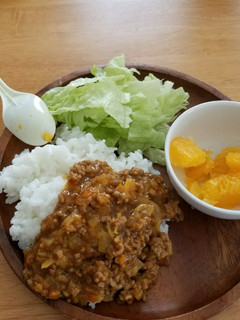 カレー粉で☆幼児ok☆キーマカレー風-レシピのメイン写真