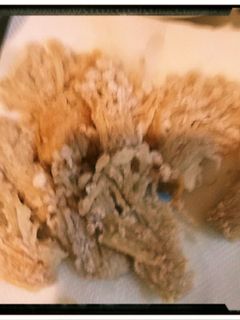 焼くだけ簡単えのき茸-レシピのメイン写真