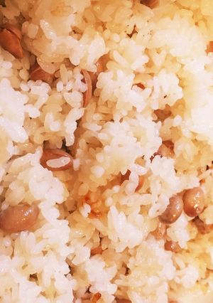 土鍋でシンプル福豆ごはん-レシピのメイン写真