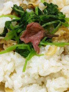 炊飯器であさりごはん-レシピのメイン写真