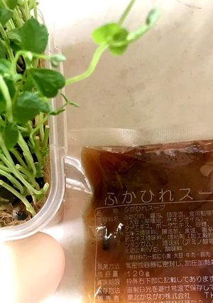 豆苗〔二回目収穫〕のフカヒレスープ-レシピのメイン写真