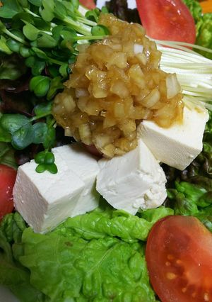 おっさんの豆腐のオニオンドレサラダ-レシピのメイン写真