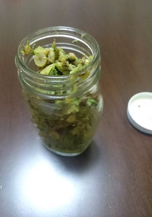 ふきのとうの塩漬け-レシピのメイン写真