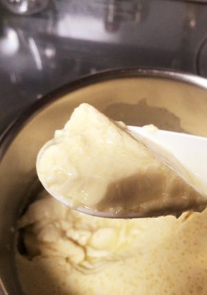 ヘルシオで簡単手作り豆腐(チーズ味)-レシピのメイン写真