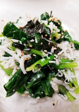 つわり♡小松菜しらす★カルシウム酢の物-レシピのメイン写真