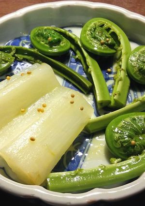 うどとこごみのマリネ-レシピのメイン写真