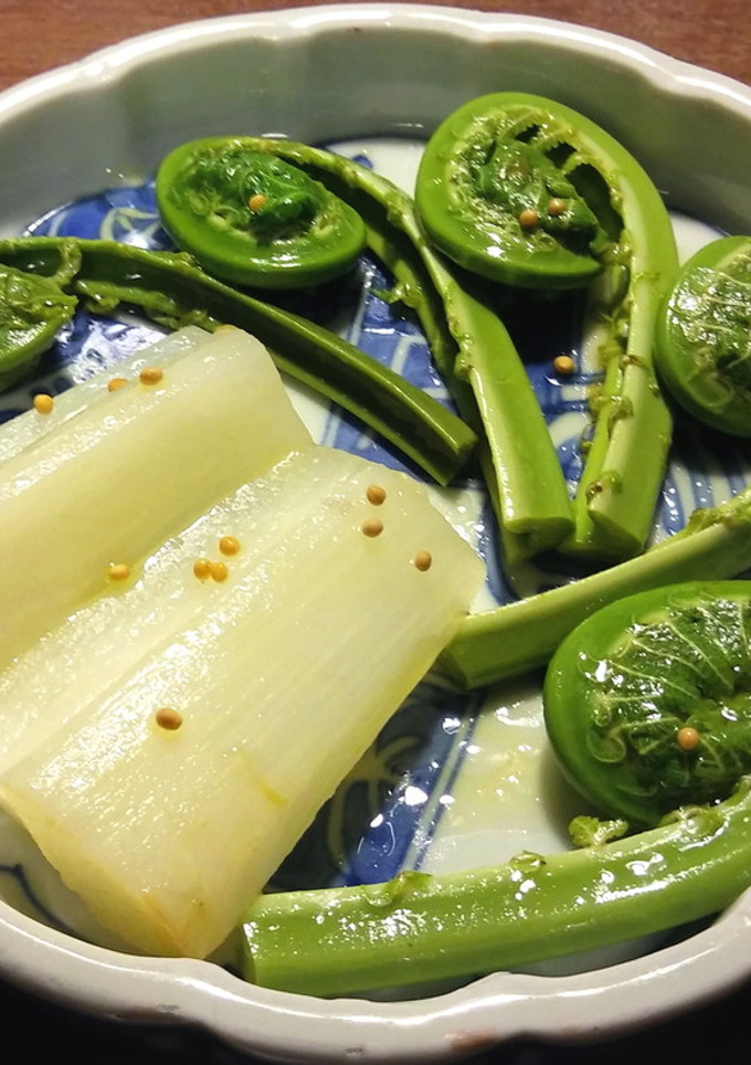 うどとこごみのマリネ-レシピのメイン写真