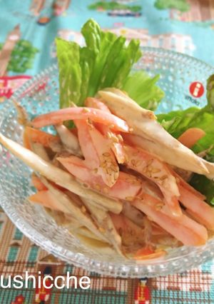 節約副菜♡ゴボウと人参のサラダ-レシピのメイン写真