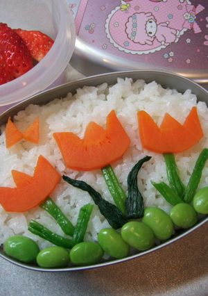 カレー入り☆自由に♪お絵描き弁当-レシピのメイン写真