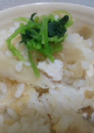 炊飯器でがっつり鳥ごぼう飯-レシピのメイン写真