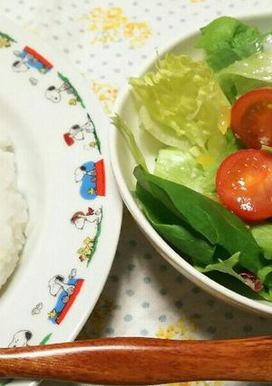 自家製塩麹といよかんのドレッシング-レシピのメイン写真