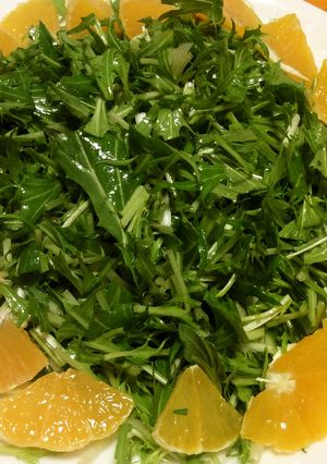 水菜とオレンジのサラダ-レシピのメイン写真