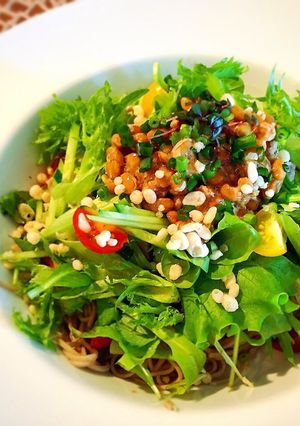 ランチに！納豆サラダぶっかけ蕎麦-レシピのメイン写真