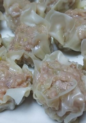 大きめ玉ねぎの美味しい焼売-レシピのメイン写真
