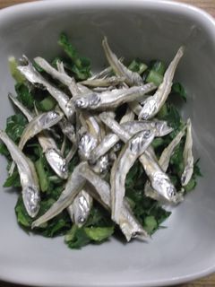 大根の葉/食べる煮干し乗せ-レシピのメイン写真