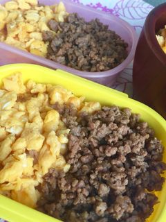 お弁当や子どものランチに。楽チン 二色丼-レシピのメイン写真