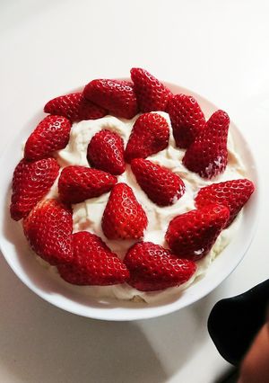 食パンとヨーグルトで、ヨーグルトケーキ-レシピのメイン写真