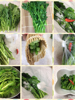 種先菜のお漬物-レシピのメイン写真