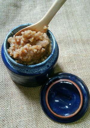ぱくぱく食べたいヘルシー豚味噌-レシピのメイン写真