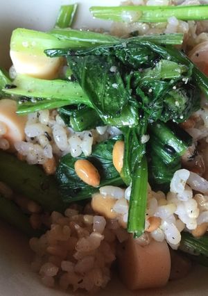 納豆と小松菜の胡麻和えのまぜご飯-レシピのメイン写真