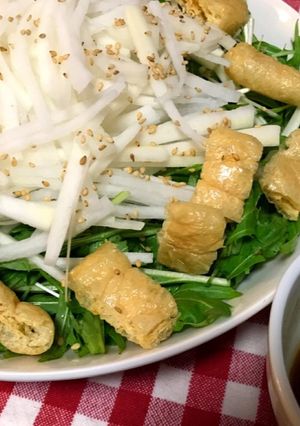 大根と水菜と油揚げのサラダ-レシピのメイン写真
