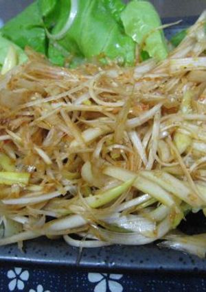 焼き肉のお供に 白ネギのサラダ-レシピのメイン写真
