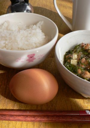 元気１００倍朝ごはん-レシピのメイン写真