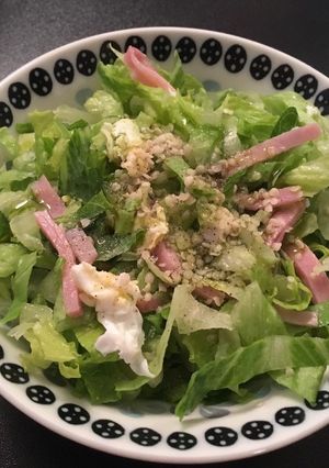 千切りたっぷり食べらレタスサラダ-レシピのメイン写真