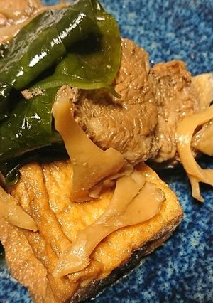 豚バラと厚揚げの烏龍茶煮こみ-レシピのメイン写真