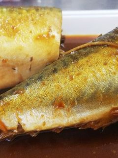 青魚の煮付け-レシピのメイン写真