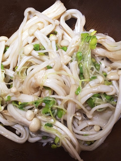 副菜に!エノキとスプラウト炒め-レシピのメイン写真