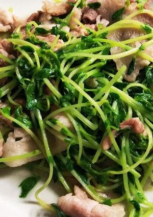 簡単 豚肉と豆苗炒め-レシピのメイン写真