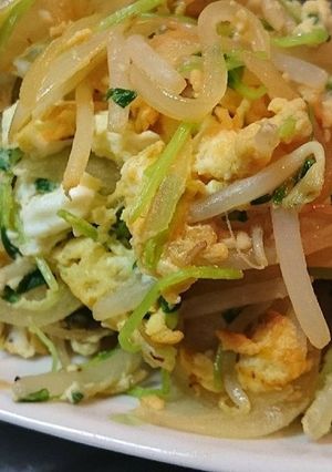 お財布に優しい♡﻿豆苗ともやしの炒め物-レシピのメイン写真