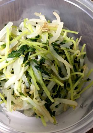 作り置き簡単！豆苗ともやし柚子胡椒和え-レシピのメイン写真