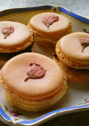 ★簡単絶品本格的☆桜ガナッシュマカロン-レシピのメイン写真