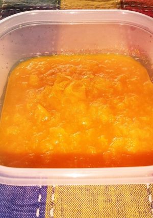 温州みかんのジャムおじさん-レシピのメイン写真