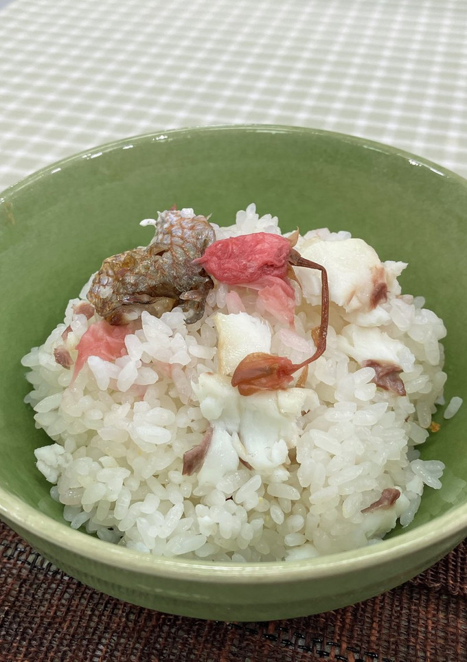 桜風味の鯛ごはん-レシピのメイン写真