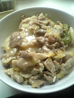 簡単!白菜の中華丼風-レシピのメイン写真
