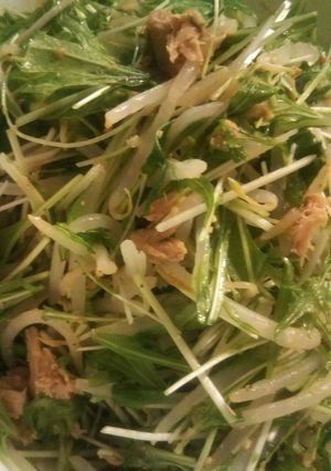 全行程5分水菜ともやしの簡単サラダ-レシピのメイン写真