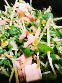 簡単やみつき豆苗サラダ-レシピのメイン写真