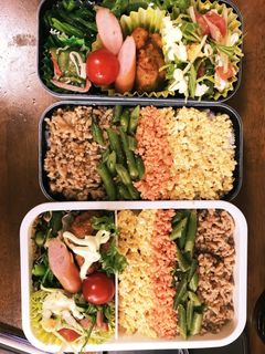 そぼろ丼弁当-レシピのメイン写真